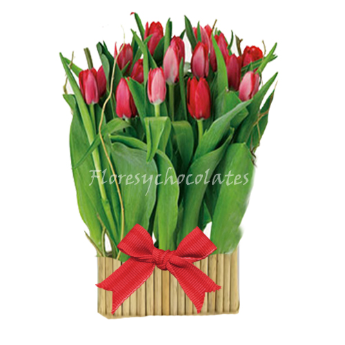 tulipanes a domicilio en santiago