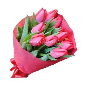 Tulipanes a domicilio en santiago
